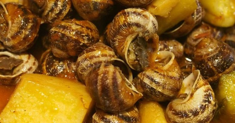 Τα σαλιγκάρια πάλι στη μόδα