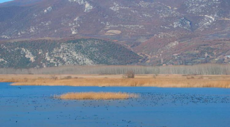 Υδροβιότοπος Άγρα Βρητών Νησίου: ένας κοντινός Must προορισμός