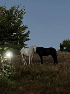 Βλάστη Κοζάνης:  3η Ιππική συνάντηση ένα υπέροχο θέαμα πορείας αλόγων