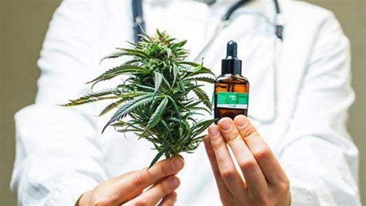 Εγκαινιάζεται η πρώτη ολοκληρωμένη επένδυση φαρμακευτικής κάνναβης στην Ελλάδα Εγκαινιάζεται η πρώτη ολοκληρωμένη επένδυση φαρμακευτικής κάνναβης στην Ελλάδα