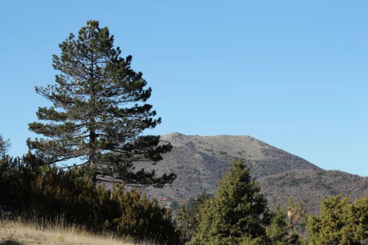 Ο Ε.Ο.Σ. Κοζάνης οργανώνει την Κυριακή 18.9.2022 εξόρμηση στον Μπούρινο Ο Ε.Ο.Σ. Κοζάνης οργανώνει την Κυριακή 18.9.2022 εξόρμηση στον Μπούρινο