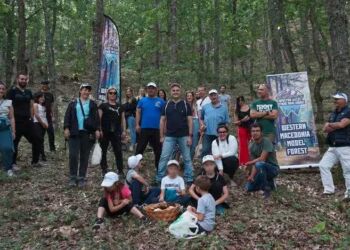 Ολοκληρώθηκαν Οι Δράσεις Του Υποψηφίου «Πρότυπου Δάσους Δυτικής Μακεδονίας»
