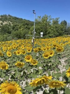 Ολοκληρώθηκε η πιλοτική εγκατάσταση του προγράμματος «ΑΥΓΕΙΑΣ», με την συμμετοχή και της Δ.Ε.Υ.Α.Κ.   