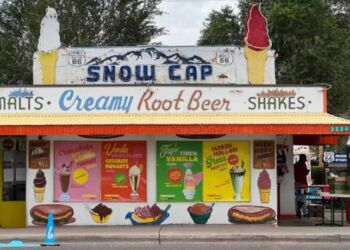 Παγωτατζίδικο Στις Ηπα Διαθέτει 266 Γεύσεις Milkshake – Με Ροδέλες Κρεμμυδιού, Τσίλι Και Μπιφτέκι Ψαριού