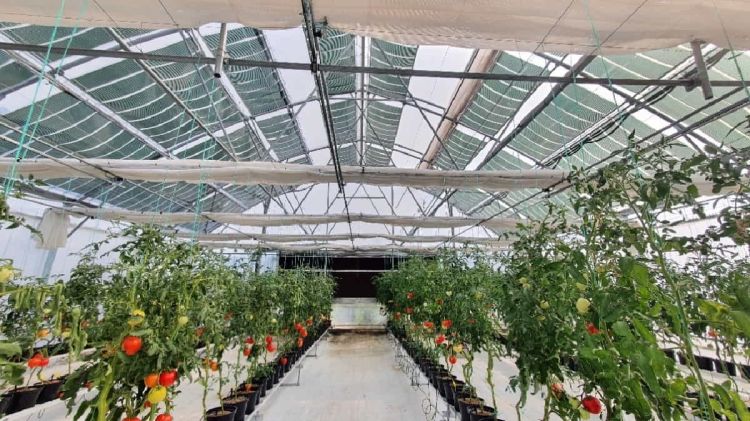 Ημερίδα για τα αγροβολταϊκά – φωτοβολταϊκά 3ης γενιάς στις 21/10 από τον Σύνδεσμο Εταιρειών Hope A