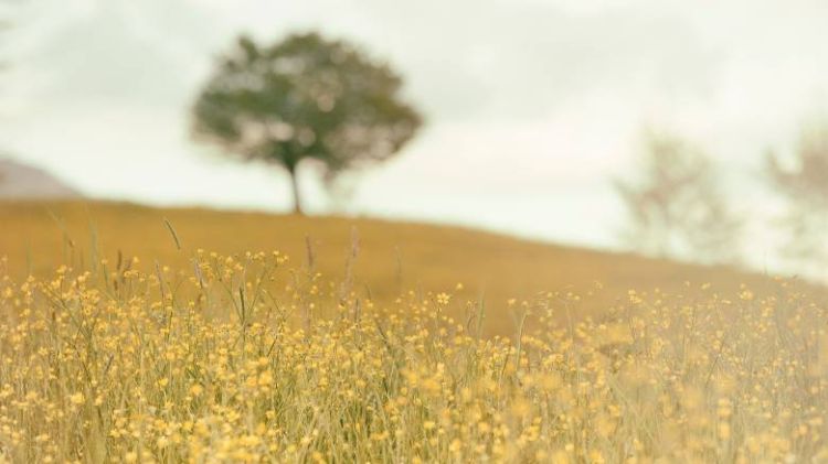 Καιρός: Αύριο Σάββατο, λιακάδα και άνοδος της θερμοκρασίας