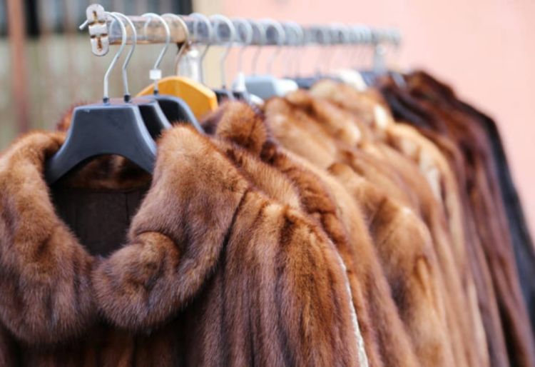 Παράταση του μέτρου αναστολής συμβάσεων εργασίας στον κλάδο της γουνοποιίας έως 31 Δεκεμβρίου 2022