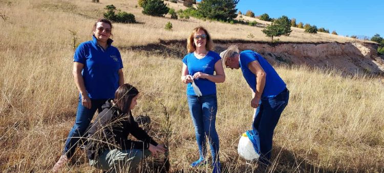 100 κυπαρίσσια στη μνήμη των προγόνων τους δενδροφύτευσαν οι Μικρασιατές Κοζάνης