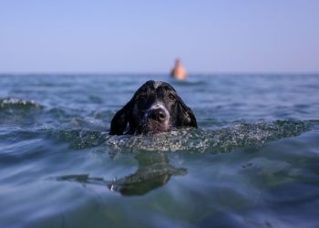 «Ασυνήθιστο κύμα ζέστης την επόμενη εβδομάδα» – Σε ποιες περιοχές θα έχει 30αρια