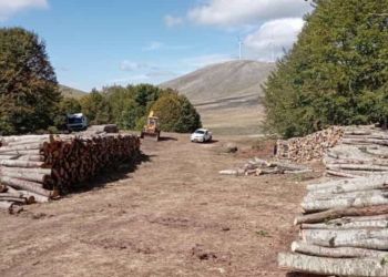  Δήμος Κοζάνης: Καυσόξυλα σε κατοίκους Σιδερών & Αγίου Χαραλάμπους