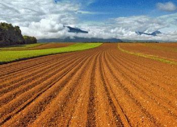 Εκμίσθωση αγροτεμαχίων Δήμου Βοΐου