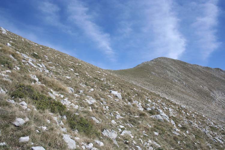 Εξόρμηση του ΣΕΟ Κοζάνης στο όρος Λάκμος (κορυφή Γκουράσα 2.185 μ.) Εξόρμηση του ΣΕΟ Κοζάνης στο όρος Λάκμος (κορυφή Γκουράσα 2.185 μ.)
