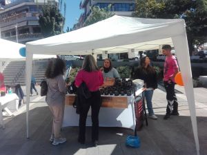 Η πιο γλυκιά γιορτή έφτασε στην Κοζάνη