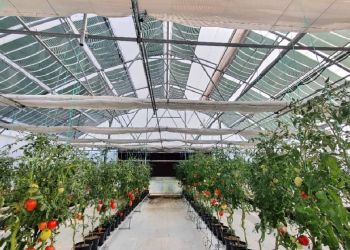 Ημερίδα για τα αγροβολταϊκά - φωτοβολταϊκά 3ης γενιάς στις 21/10 από τον Σύνδεσμο Εταιρειών HOPE-A Ημερίδα για τα αγροβολταϊκά – φωτοβολταϊκά 3ης γενιάς στις 21/10 από τον Σύνδεσμο Εταιρειών Hope A