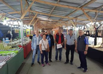 Ο Νιάημερος είναι γεγονός….