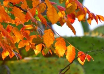 Ο φετινός Σεπτέμβριος, ο τρίτος ψυχρότερος τα τελευταία 12 χρόνια στη βόρεια Ελλάδα