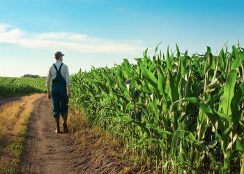 Ομάδες παραγωγών – Οι στόχοι και το κέρδος των μελών