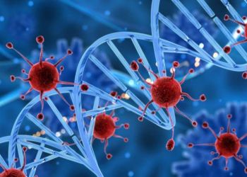 Το εμβόλιο κατά του καρκίνου θα μπορούσε να είναι διαθέσιμο μέχρι το 2030, λένε επιστήμονες Το εμβόλιο κατά του καρκίνου θα μπορούσε να είναι διαθέσιμο μέχρι το 2030, λένε επιστήμονες