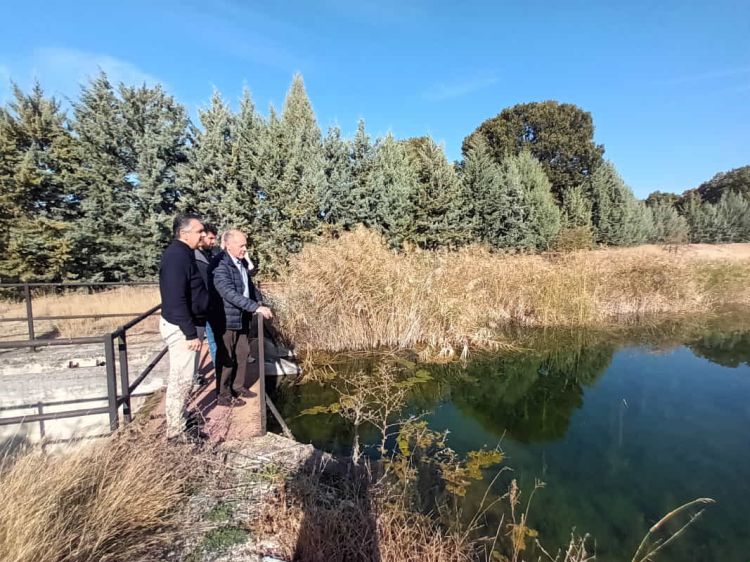 Βελτίωση και εκσυγχρονισμός του αρδευτικού Μεσιανής   
