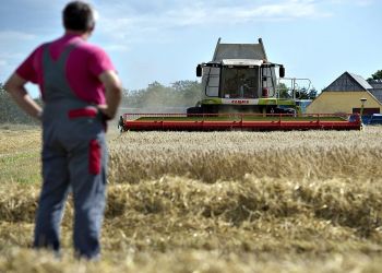 ΕΛΣΤΑΤ – Στα ύψη παραμένει το κόστος παραγωγής