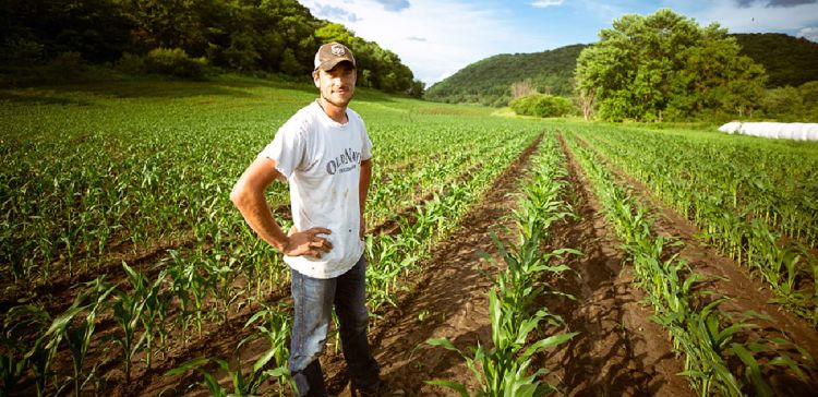 Ολοκλήρωση πληρωμών της πρώτης δόσης στους νέους γεωργούς της Περιφέρειας Δυτικής Μακεδονίας