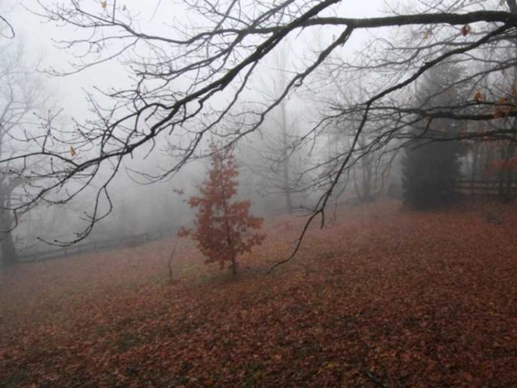 Ο Καιρός σήμερα: Λίγες νεφώσεις και μετά το μεσημέρι ασθενείς τοπικές βροχές