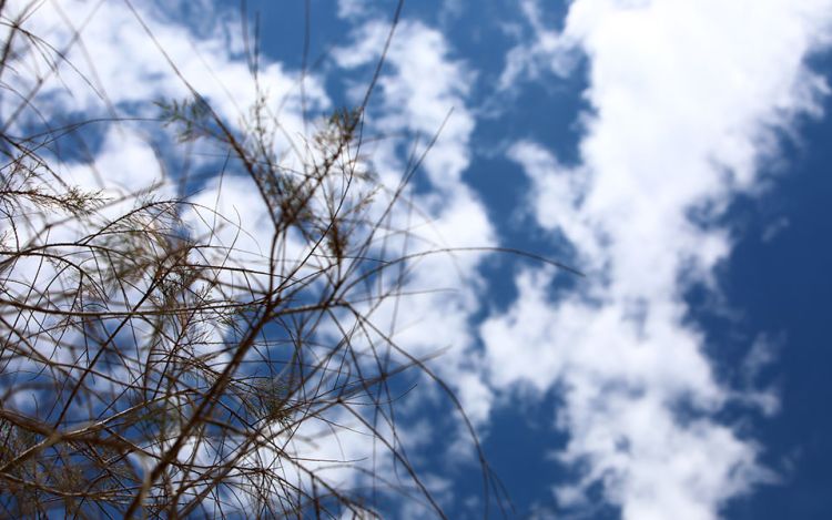 Ο Καιρός σήμερα: Πρώτη του μήνα και γενικά αίθριος ο καιρός με τοπικές νεφώσεις