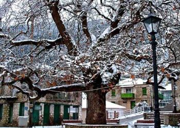 Χειμερινές διακοπές με επιταγές κοινωνικού τουρισμού – Συνεχίζονται οι αιτήσεις συμμετοχής παρόχων