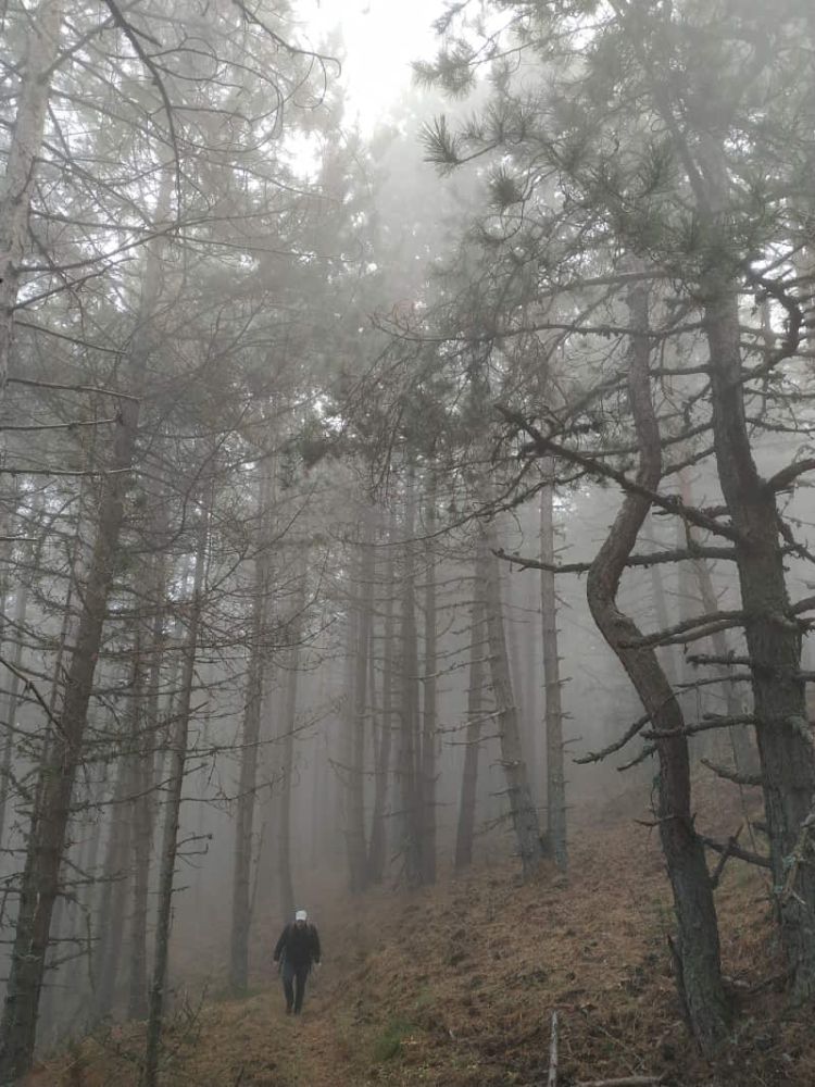 Εξόρμηση στα Πιέρια την Κυριακή. Ελληνικός Ορειβατικός Σύνδεσμος (ΕΟΣ) Κοζάνης