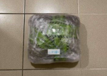 Κατασχέθηκε περισσότερο από 1 κιλό ακατέργαστης κάνναβης στην Κοζάνη