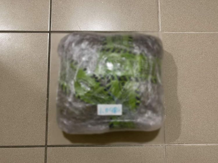 Κατασχέθηκε περισσότερο από 1 κιλό ακατέργαστης κάνναβης στην Κοζάνη