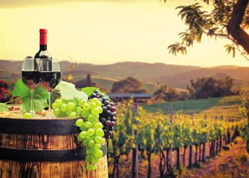 Οινοτουρισμός: Η Ελλάδα είναι ένας από τους καλύτερους προορισμούς για Wine Lovers στον κόσμο!