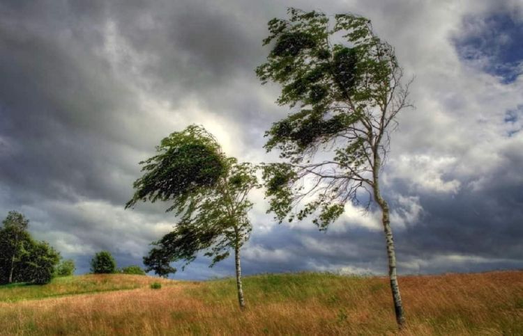 Ο Καιρός σήμερα: Γενικά αίθριος με λίγες τοπικές νεφώσεις κυρίως στα δυτικά.
