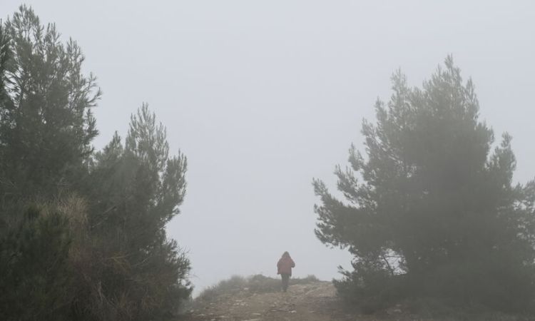 Ο Καιρός σήμερα: Λίγες νεφώσεις παροδικά αυξημένες από το μεσημέρι