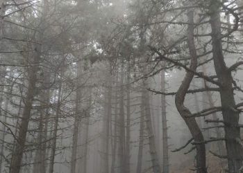 Εξόρμηση στα Πιέρια την Κυριακή. Ελληνικός Ορειβατικός Σύνδεσμος (ΕΟΣ) Κοζάνης