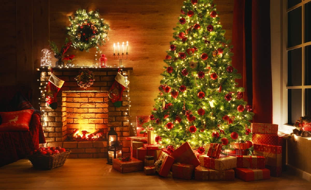 Η ιστορία του Χριστουγεννιάτικου Δέντρου – Ο Άδαμ, η Εύα και ο Τόμας Έντισον