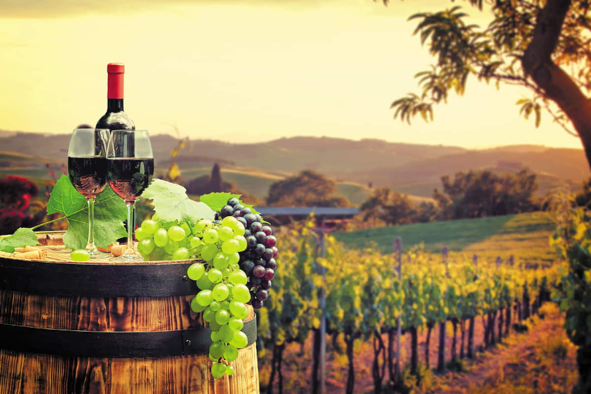  Η Ελλάδα είναι ένας από τους καλύτερους προορισμούς για Wine Lovers στον κόσμο!