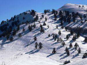 «Ταξιδεύω Γρεβενά» – Στο Χιονοδρομικό της Βασιλίτσας