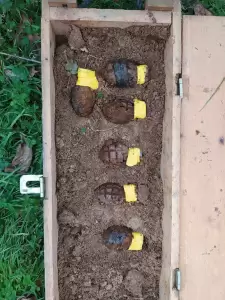 Οπλοστάσιο στη Φλώρινα....συνελήφθησαν 14 άνδρες Φλώρινα: Οπλοστάσιο με πολυβόλα, χειροβομβίδες και κυνηγετικά όπλα – 14 συλλήψεις μετά την έρευνα