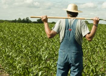 Αγροτικός Σύλλογος Φυτικής Παραγωγής Βελβεντού: Θέμα De Minimis για τις καλλιέργειες
