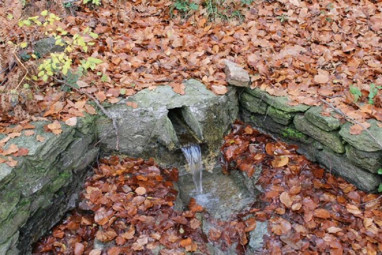 ΕΟΣ Κοζάνης – Ορειβασία στο Άσκιο