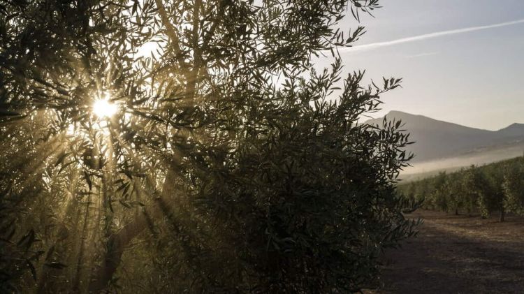 Κλιματική Αλλαγή: Αυξάνονται σημαντικά στην Ελλάδα οι ημέρες με υψηλές θερμοκρασίες το καλοκαίρι