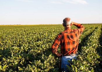 ΟΠΕΚΕΠΕ: Νέα απάτη επιχειρήθηκε να στηθεί με θύματα αγρότες