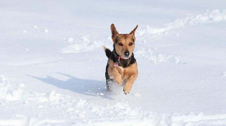 Ο Καιρός σήμερα: Νέα επιδείνωση με νεφώσεις και θα σημειωθούν τοπικές βροχές, χιονοπτώσεις στα ορεινά
