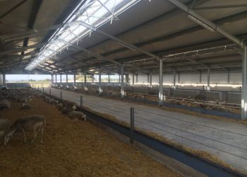 Παρατάσεις προθεσμιών κτηνοτροφικών εγκαταστάσεων