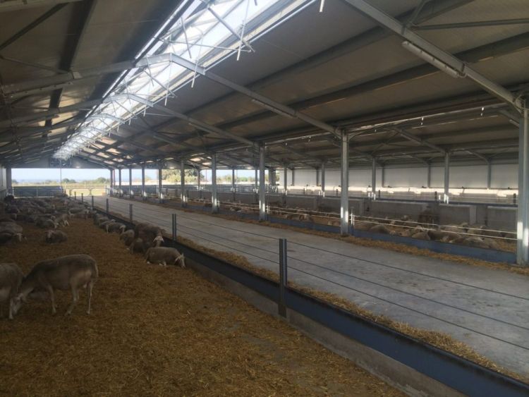 Παρατάσεις προθεσμιών κτηνοτροφικών εγκαταστάσεων