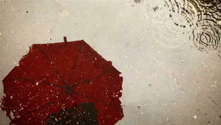 Τι προβλέπουν τα ζώδια για σήμερα