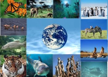 Χρηματοδότηση 4 έργων για την αποκατάσταση, διατήρηση και αξιοποίηση της βιοποικιλότητας