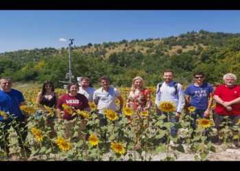 Πανεπιστήμιο Δυτικής Μακεδονίας – Ερευνητικό Πρόγραμμα Αυγείας