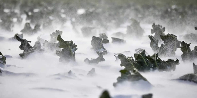 Το Frost.getmap.gr Θα Προειδοποιεί Του Αγρότες Για Τον Παγετό – Πώς Λειτουργεί